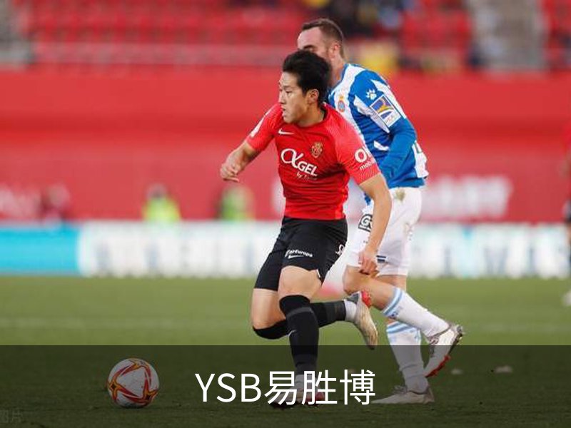 YSB易胜博概况